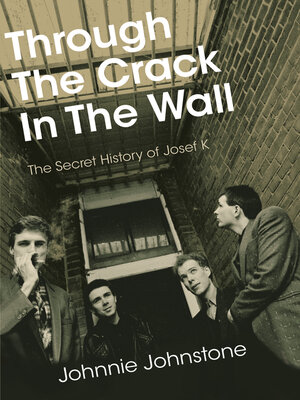 cover image of Through the Crack In the Wall